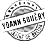 Logo Yoann Gouéry