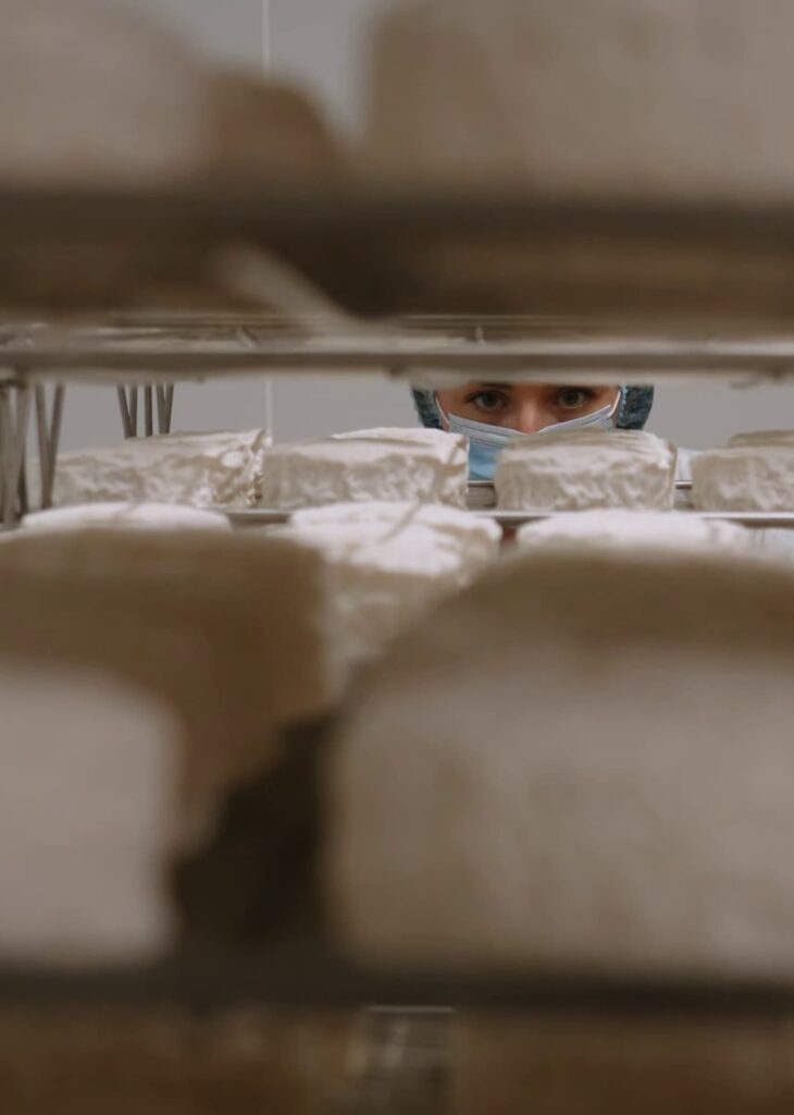 fromages en cours d'élaboration à la Fromagerie d'Arvor